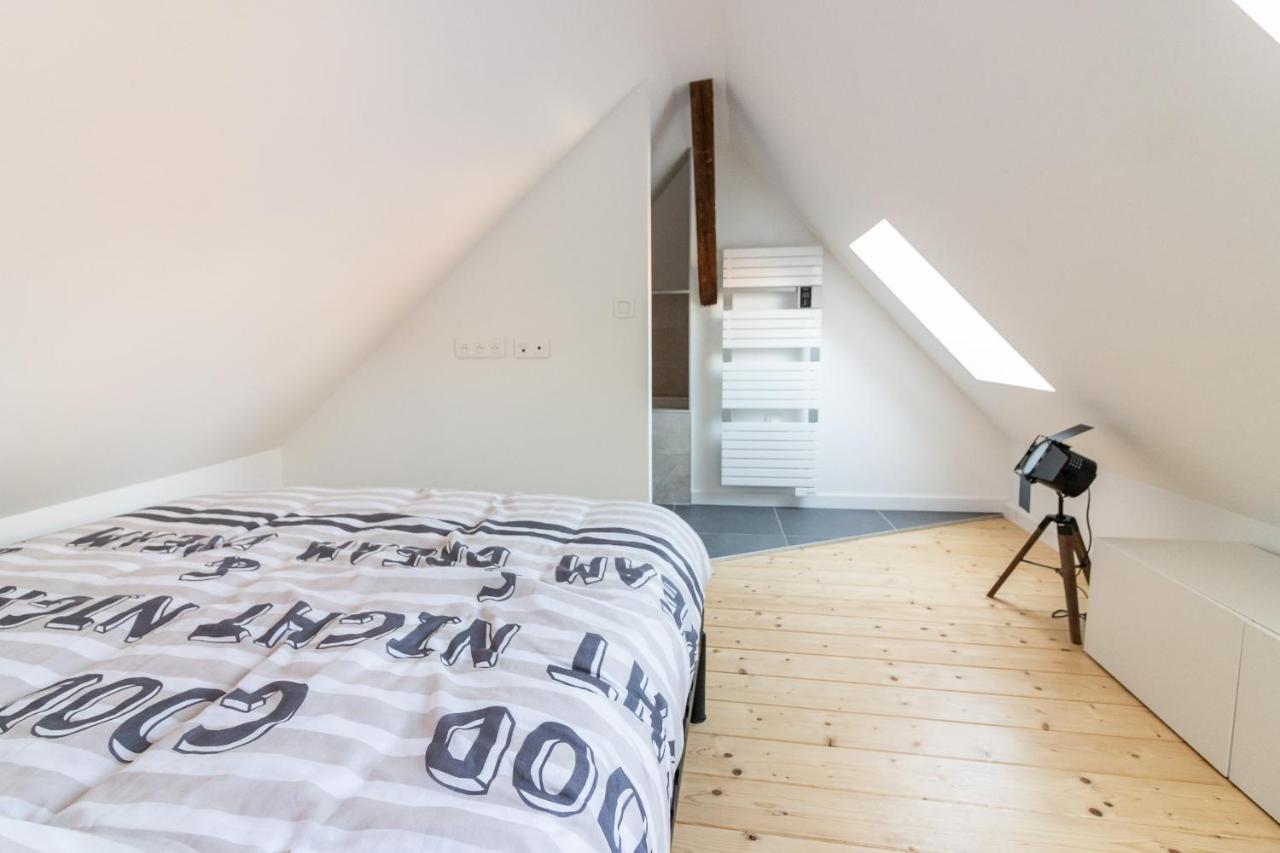 Magnifique Appartement Duplex Climatise De 40M² Nancy Eksteriør billede